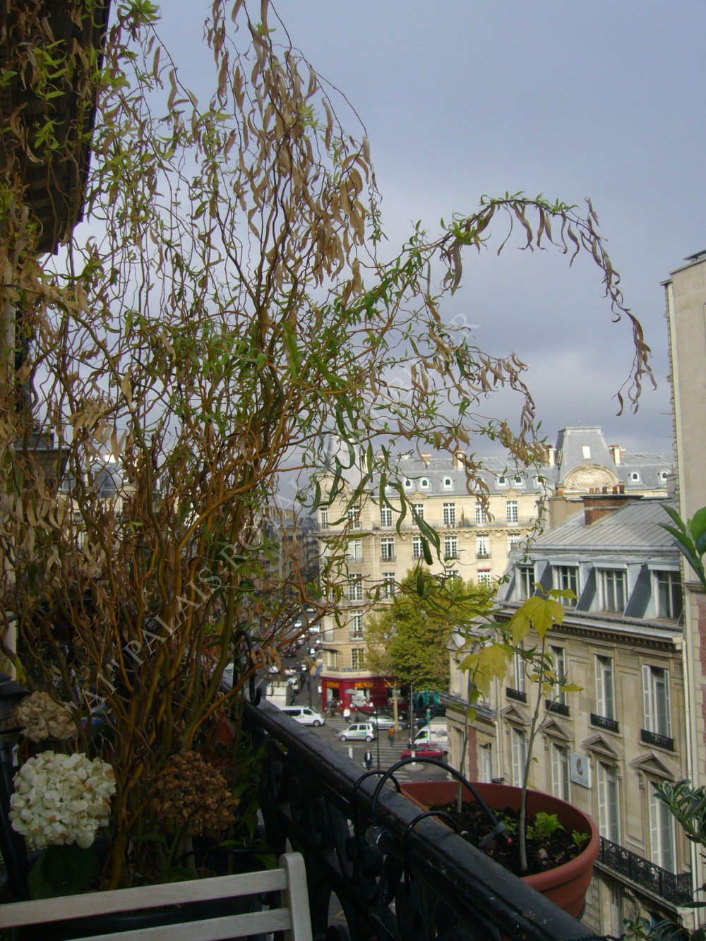 PARIS 8ÈME
PARC MONCEAU  
APPARTEMENT FAMILIAL 7 PIECES 
IMMEUBLE PDT – BALCON 
+ STUDIO + 2 PARKINGS
