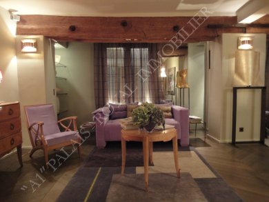 PARIS 1ER
LOUVRE DES ANTIQUAIRES 
GALERIE VÉRO-DODAT
APPARTEMENT RAFFINÉ 
 - Photo 1